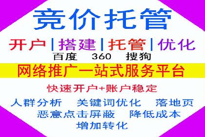 百度SEM推广案例：揭秘行业领军企业的成功之路